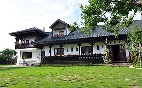 Bed&Breakfast Popamuseum Tarpesti strada Muzeului nr 28